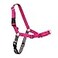 PetSafe Easy Walk NoPull Dog Harness Ultimate Harness to Help Stop Pulling PullFree Walks Take Control Teach Better Leash Manners Patented Martingale Loop Design Raspberry MediumLarge