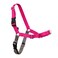 PetSafe Easy Walk NoPull Dog Harness Ultimate Harness to Help Stop Pulling PullFree Walks Take Control Teach Better Leash Manners Patented Martingale Loop Design Raspberry MediumLarge