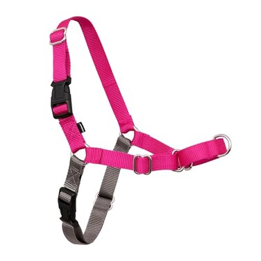 PetSafe Easy Walk NoPull Dog Harness Ultimate Harness to Help Stop Pulling PullFree Walks Take Control Teach Better Leash Manners Patented Martingale Loop Design Raspberry MediumLarge