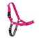 PetSafe Easy Walk NoPull Dog Harness Ultimate Harness to Help Stop Pulling PullFree Walks Take Control Teach Better Leash Manners Patented Martingale Loop Design Raspberry MediumLarge