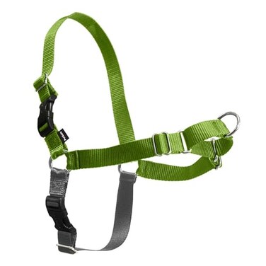PetSafe Easy Walk NoPull Dog Harness Ultimate Harness to Help Stop Pulling PullFree Walks Take Control Teach Better Leash Manners Patented Martingale Loop Design Apple Green Medium