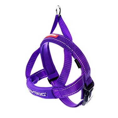 EzyDog Quick Fit Dog Harness No Pull Harness for Training Everyday Walking and Easy Control Adjustable Fit Reflective and Padded Large Purple