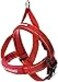 EzyDog Quick Fit Dog Harness No Pull Harness for Training Everyday Walking and Easy Control Adjustable Fit Reflective and Padded Medium Red