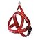 EzyDog Quick Fit Dog Harness No Pull Harness for Training Everyday Walking and Easy Control Adjustable Fit Reflective and Padded Small Red