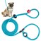 Harness Lead No Pull Dog Harness and Leash Set Anti Pull Dog Harness for All Breeds and Sizes OnePiece Cushioned Rope Design Safely Prevents Escaping and Pulling SmallMedium BlueMulti