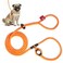 Harness Lead No Pull Dog Harness and Leash Set Anti Pull Dog Harness for All Breeds and Sizes OnePiece Cushioned Rope Design Safely Prevents Escaping and Pulling SmallMedium OrangeReflective
