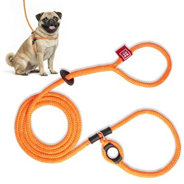 Harness Lead No Pull Dog Harness and Leash Set Anti Pull Dog Harness for All Breeds and Sizes OnePiece Cushioned Rope Design Safely Prevents Escaping and Pulling SmallMedium OrangeReflective
