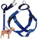 2 Hounds Design Freedom No Pull Dog Harness Adjustable Harness and Leash Set Easy Walking Comfortable Control Fits Small Medium Large Dogs Solid Colors Made in USA 1 MD Royal Blue