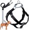 2 Hounds Design Freedom No Pull Dog Harness Adjustable Harness and Leash Set Easy Walking Comfortable Control Fits Small Medium Large Dogs Solid Colors Made in USA 1 XL Black