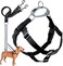 2 Hounds Design Freedom No Pull Dog Harness Adjustable Harness and Leash Set Easy Walking Comfortable Control Fits Small Medium Large Dogs Solid Colors Made in USA 1 XL Black
