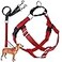 2 Hounds Design Freedom No Pull Dog Harness Adjustable Harness and Leash Set Easy Walking Comfortable Control Fits Small Medium Large Dogs Solid Colors Made in USA 58 SM Red