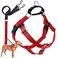 2 Hounds Design Freedom No Pull Dog Harness Adjustable Harness and Leash Set 1 MD Red