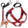 2 Hounds Design Freedom No Pull Dog Harness Adjustable Harness and Leash Set 1 MD Red