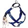 2 Hounds Design Freedom No Pull Dog Harness Harness ONLY Royal Blue Medium 1 Wide