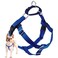 2 Hounds Design Freedom No Pull Dog Harness Harness ONLY Royal Blue Medium 1 Wide