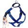 2 Hounds Design Freedom No Pull Dog Harness Harness ONLY Royal Blue Medium 1 Wide