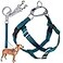 2 Hounds Design Freedom No Pull Dog Harness Adjustable Harness and Leash Set Easy Walking Comfortable Control Fits Small Medium Large Dogs Solid Colors Made in USA 1 XL Teal
