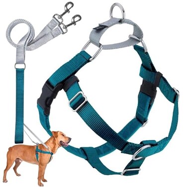 2 Hounds Design Freedom No Pull Dog Harness Adjustable Harness and Leash Set Easy Walking Comfortable Control Fits Small Medium Large Dogs Solid Colors Made in USA 1 XL Teal