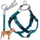 2 Hounds Design Freedom No Pull Dog Harness Adjustable Harness and Leash Set Easy Walking Comfortable Control Fits Small Medium Large Dogs Solid Colors Made in USA 1 XL Teal
