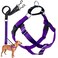 2 Hounds Design Freedom No Pull Dog Harness Adjustable Harness and Leash Set Easy Walking Comfortable Control Fits Small Medium Large Dogs Solid Colors Made in USA 1 MD Purple