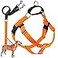 2 Hounds Design Freedom No Pull Dog Harness Adjustable Harness and Leash Set Easy Walking Comfortable Control Fits Small Medium Large Dogs Solid Colors Made in USA 58 MD Neon Orange