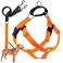 2 Hounds Design Freedom No Pull Dog Harness Adjustable Harness and Leash Set Easy Walking Comfortable Control Fits Small Medium Large Dogs Solid Colors Made in USA 58 MD Neon Orange