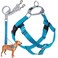 2 Hounds Design Freedom No Pull Dog Harness Adjustable Harness and Leash Set Easy Walking Comfortable Control Fits Small Medium Large Dogs Solid Colors Made in USA 58 XS Turquoise