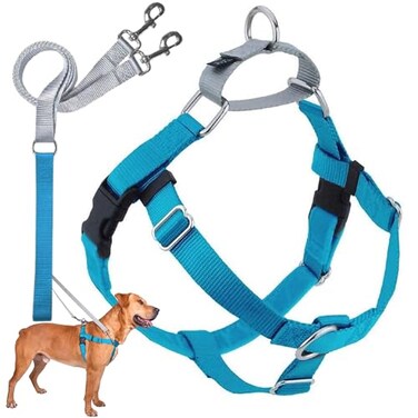 2 Hounds Design Freedom No Pull Dog Harness Adjustable Harness and Leash Set Easy Walking Comfortable Control Fits Small Medium Large Dogs Solid Colors Made in USA 58 XS Turquoise