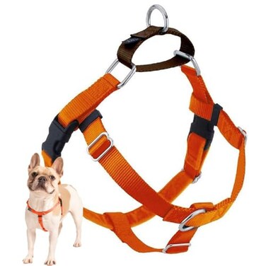 2 Hounds Design Freedom No Pull Dog Harness Adjustable Harness Easy Walking Comfortable Control Fits Small Medium Large Dogs Solid Colors Made in USA 1 XL Rust