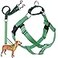 2 Hounds Design Freedom No Pull Dog Harness Adjustable Harness and Leash Set Easy Walking Comfortable Control Fits Small Medium Large Dogs Solid Colors Made in USA 1 LG Neon Green