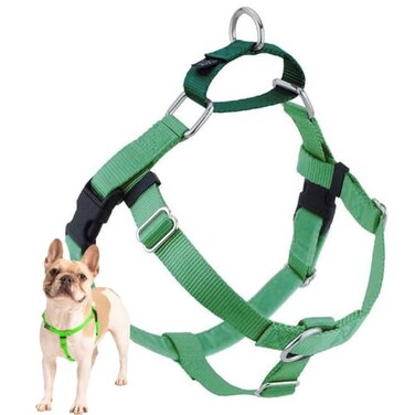 2 Hounds Design Freedom No Pull Dog Harness Adjustable Harness Easy Walking Comfortable Control Fits Small Medium Large Dogs Solid Colors Made in USA 58 SM Neon Green