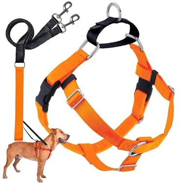 2 Hounds Design Freedom No Pull Dog Harness Adjustable Harness and Leash Set Easy Walking Comfortable Control Fits Small Medium Large Dogs Solid Colors Made in USA 58 SM Neon Orange