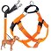 2 Hounds Design Freedom No Pull Dog Harness Adjustable Harness and Leash Set Easy Walking Comfortable Control Fits Small Medium Large Dogs Solid Colors Made in USA 58 SM Neon Orange