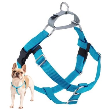 2 Hounds Design Freedom No Pull Dog Harness Adjustable Harness Easy Walking Comfortable Control Fits Small Medium Large Dogs Solid Colors Made in USA 58 SM Turquoise