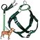 2 Hounds Design Freedom No Pull Dog Harness Adjustable Harness and Leash Set Easy Walking Comfortable Control Fits Small Medium Large Dogs Solid Colors Made in USA 58 MD Kelly Green
