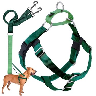 2 Hounds Design Freedom No Pull Dog Harness Adjustable Harness and Leash Set Easy Walking Comfortable Control Fits Small Medium Large Dogs Solid Colors Made in USA 58 MD Kelly Green