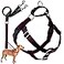 2 Hounds Design Freedom No Pull Dog Harness Adjustable Harness and Leash Set Easy Walking Comfortable Control Fits Small Medium Large Dogs Solid Colors Made in USA 58 XS Burgundy