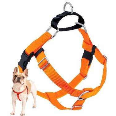 2 Hounds Design Freedom No Pull Dog Harness Adjustable Harness Easy Walking Comfortable Control Fits Small Medium Large Dogs Solid Colors Made in USA 1 XL Neon Organge