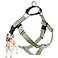 2 Hounds Design Freedom No Pull Dog Harness Adjustable Harness Easy Walking Comfortable Control Fits Small Medium Large Dogs Solid Colors Made in USA1 XL Tan