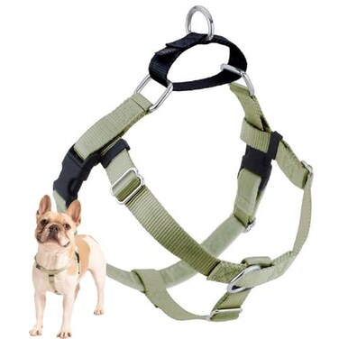2 Hounds Design Freedom No Pull Dog Harness Adjustable Harness Easy Walking Comfortable Control Fits Small Medium Large Dogs Solid Colors Made in USA1 XL Tan
