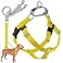 2 Hounds Design Freedom No Pull Dog Harness Adjustable Harness and Leash Set Easy Walking Comfortable Control Fits Small Medium Large Dogs Solid Colors Made in USA 1 MD Yellow