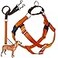 2 Hounds Design Freedom No Pull Dog Harness Adjustable Harness and Leash Set Easy Walking Comfortable Control Fits Small Medium Large Dogs Solid Colors Made in USA 1 XL Neon Orange