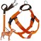 2 Hounds Design Freedom No Pull Dog Harness Adjustable Harness and Leash Set Easy Walking Comfortable Control Fits Small Medium Large Dogs Solid Colors Made in USA 1 XL Neon Orange