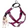 2 Hounds Design Freedom No Pull Dog Harness Adjustable Harness Easy Walking Comfortable Control Fits Small Medium Large Dogs Solid Colors Made in USA 1 MD Raspberry