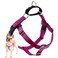 2 Hounds Design Freedom No Pull Dog Harness Adjustable Harness Easy Walking Comfortable Control Fits Small Medium Large Dogs Solid Colors Made in USA 1 MD Raspberry