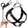 2 Hounds Design Freedom No Pull Dog Harness Adjustable Harness and Leash Set Easy Walking Comfortable Control Fits Small Medium Large Dogs Solid Colors Made in USA 58 MD Black