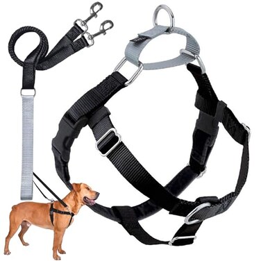 2 Hounds Design Freedom No Pull Dog Harness Adjustable Harness and Leash Set Easy Walking Comfortable Control Fits Small Medium Large Dogs Solid Colors Made in USA 58 MD Black