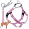 2 Hounds Design Freedom No Pull Dog Harness Adjustable Harness and Leash Set Easy Walking Comfortable Control Fits Small Medium Large Dogs Solid Colors Made in USA 1 MD Rose
