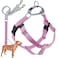 2 Hounds Design Freedom No Pull Dog Harness Adjustable Harness and Leash Set Easy Walking Comfortable Control Fits Small Medium Large Dogs Solid Colors Made in USA 1 MD Rose