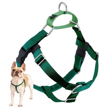 2 Hounds Design Freedom No Pull Dog Harness Adjustable Harness Easy Walking Comfortable Control Fits Small Medium Large Dogs Solid Colors Made in USA 1 MD Kelly Green